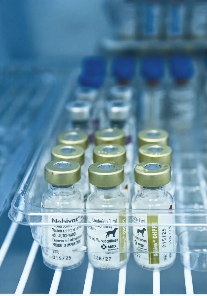 Vacinas e medicamentos