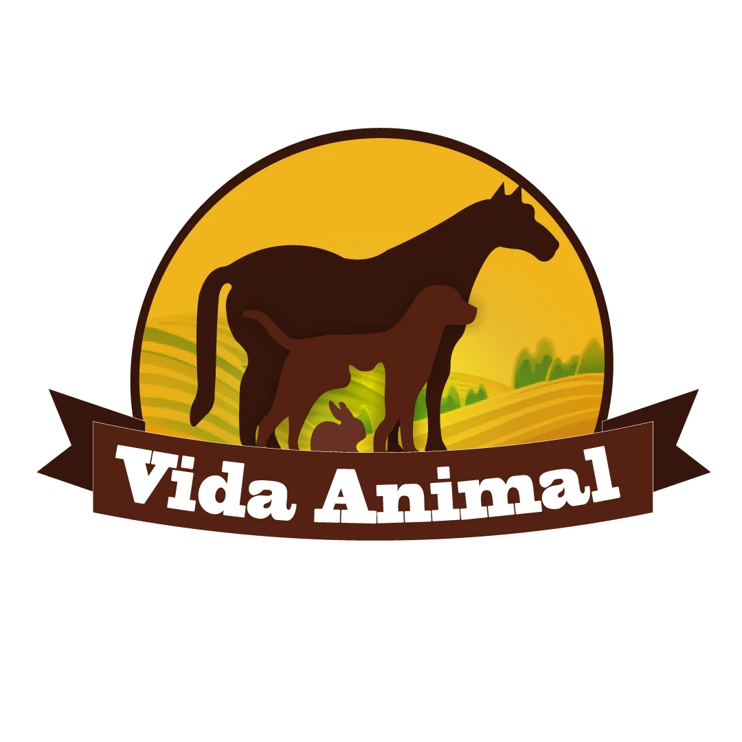 Vida Animal Centro Veterinário